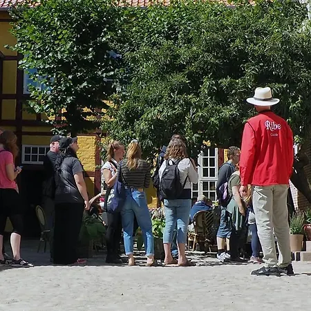 Ribe Guesthouse *