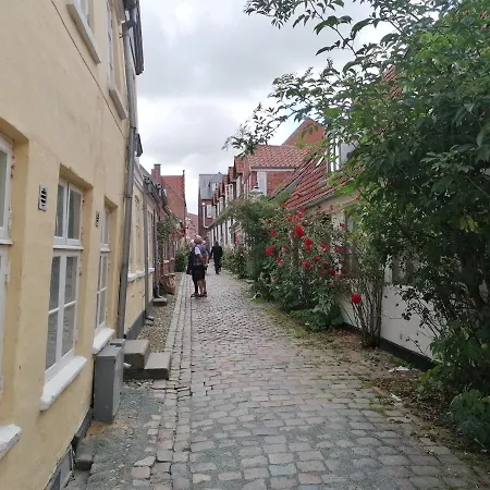Ribe Guesthouse Lägenhet