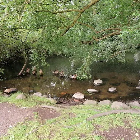 Lejlighed Ribe Guesthouse Ribe