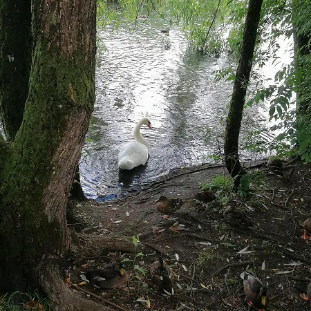 Ribe Guesthouse Ribe